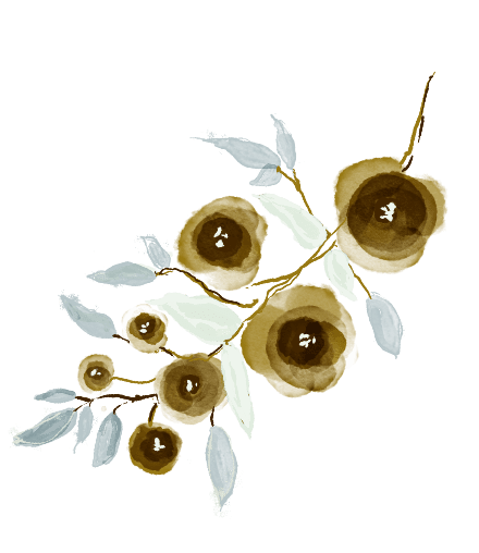 demo-attachment-427-history-bottom